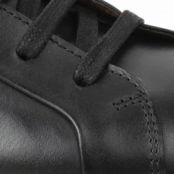 Dante Lace-To-Toe Leather Sneaker