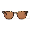 Treviso Sunglasses Tortoise