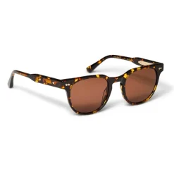 Treviso Sunglasses Tortoise